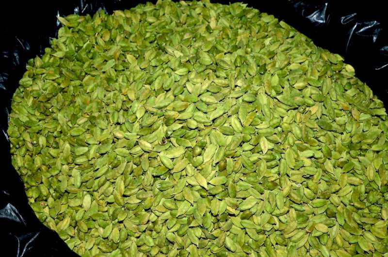 Tray of graded green cardamom pods