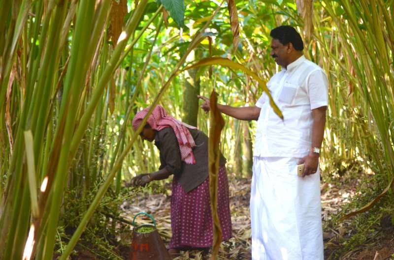 Owner inspecting the harvest with a worker